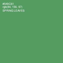 #549C61 - Spring Leaves Color Image
